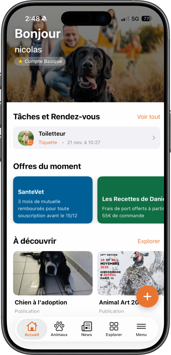Aperçu de l'application